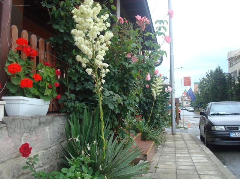 Lazur Hotel Ravda Exterior foto